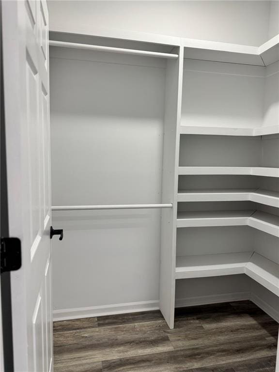 213 Bald Eagle Dr, La Cygne, KS 66040 - walk in closet featuring dark wood-style flooring