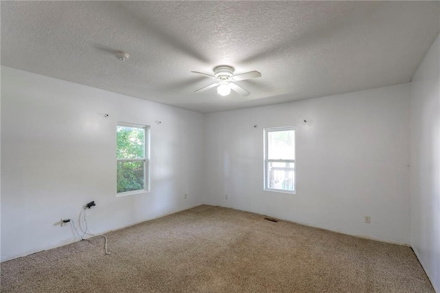 934 Williams St, Excelsior Springs, MO 64024 - carpeted spare room with plenty of natural light, a ceiling fan, a textured ceiling, and a smoke detector