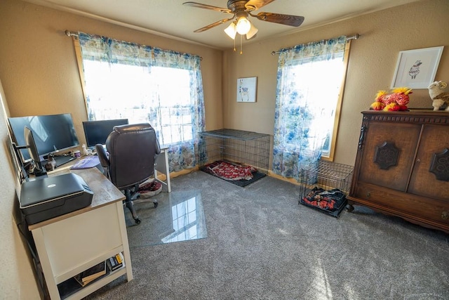 28909 E 297th St, Garden City, MO 64747 - carpeted office space with a ceiling fan
