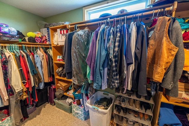 28909 E 297th St, Garden City, MO 64747 - walk in closet featuring carpet floors