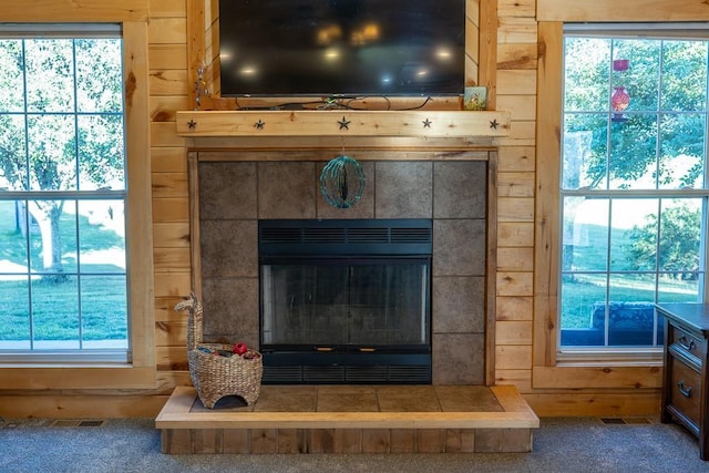 28909 E 297th St, Garden City, MO 64747 - detailed view of wooden walls, a tile fireplace, and carpet floors