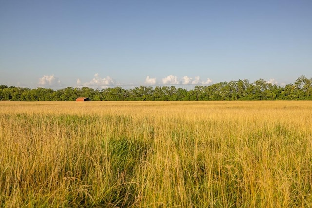 28909 E 297th St, Garden City, MO 64747 - view of undeveloped land featuring rural landscape