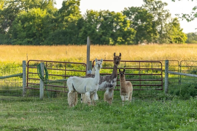 28909 E 297th St, Garden City, MO 64747 - stable with a rural view