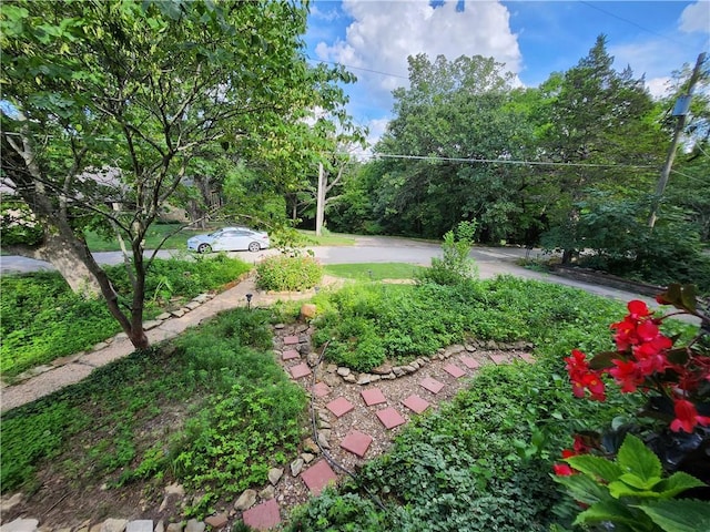 315 N 1st St, Independence, KS 67301 - view of yard