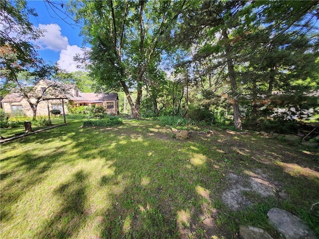 315 N 1st St, Independence, KS 67301 - view of green lawn