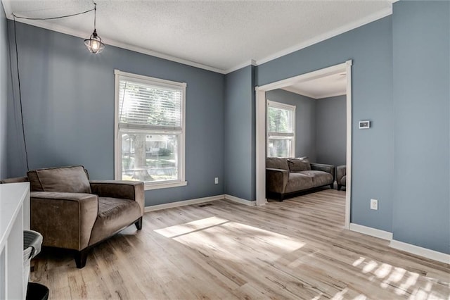 404 S Sycamore St, Ottawa, KS 66067 - living area featuring crown molding, light wood-style flooring, and a textured ceiling
