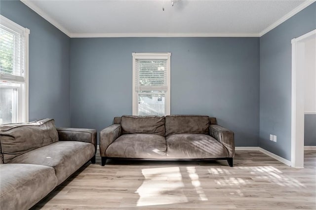 404 S Sycamore St, Ottawa, KS 66067 - living area featuring light wood-style flooring and ornamental molding