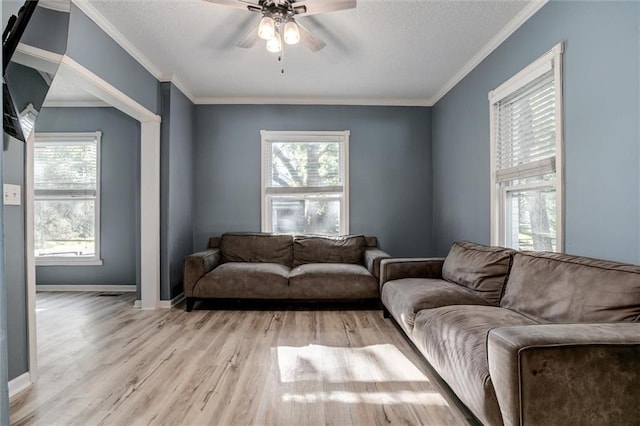 404 S Sycamore St, Ottawa, KS 66067 - living area featuring ceiling fan, light wood-style floors, plenty of natural light, crown molding, and a textured ceiling