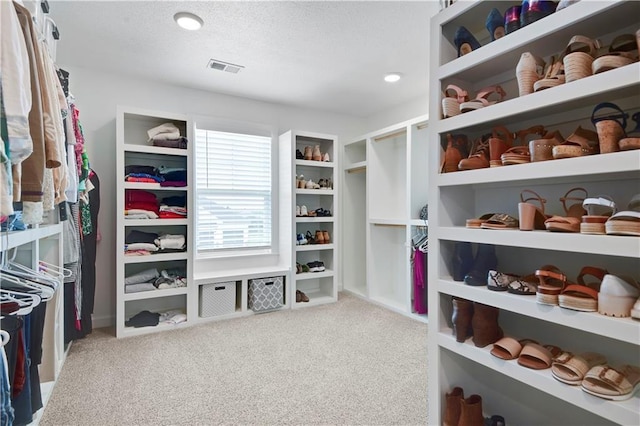 24704 W 76th St, Shawnee, KS 66227 - walk in closet featuring carpet