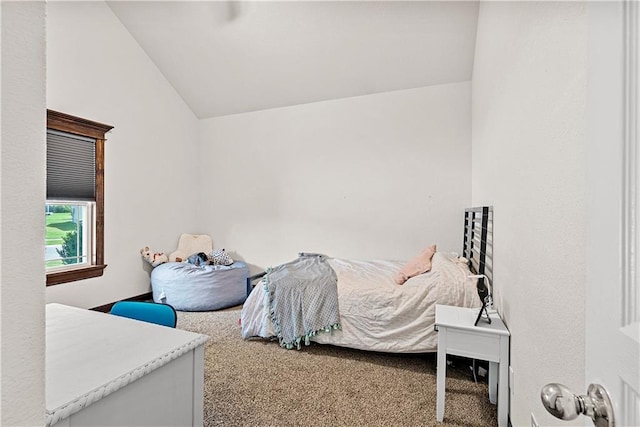 1658 Davis Cir, Eudora, KS 66025 - bedroom with vaulted ceiling and carpet floors