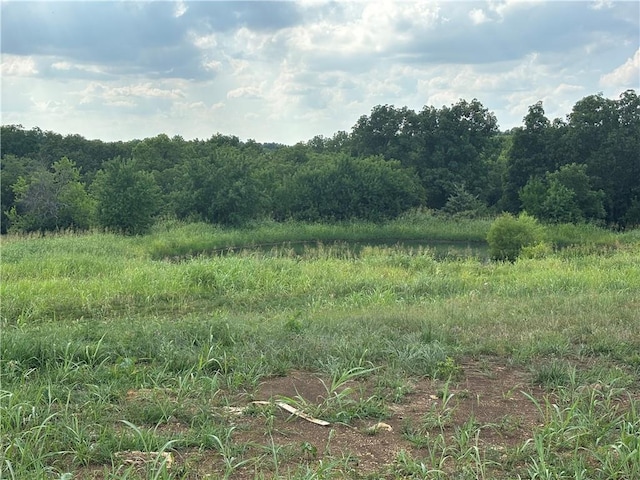 24295 Bethel Church Rd, Edgerton, KS 66021 - photo 24