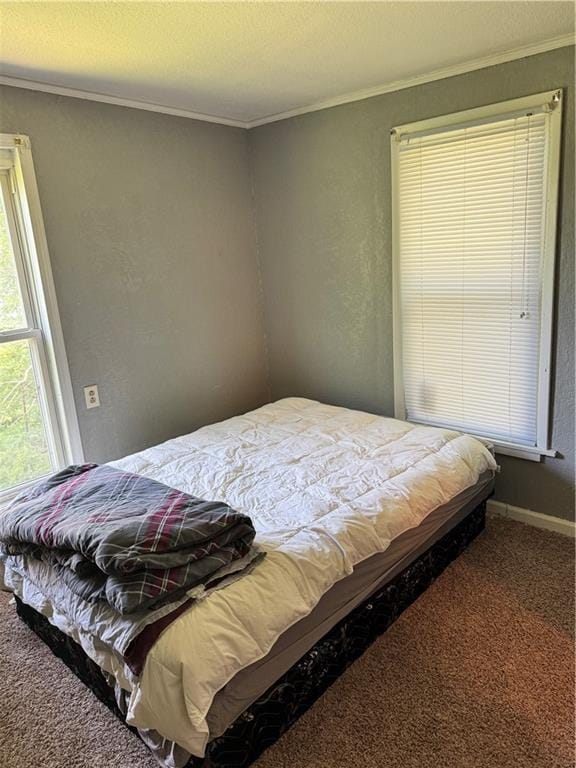 406 S 2nd St, Odessa, MO 64076 - carpeted bedroom with crown molding