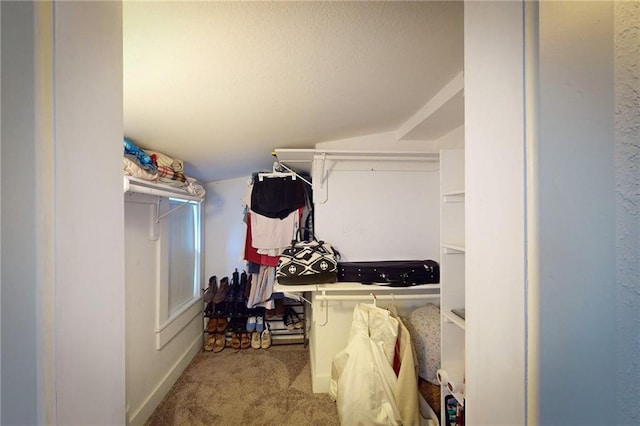 304 W Mechanic St, Harrisonville, MO 64701 - photo 44