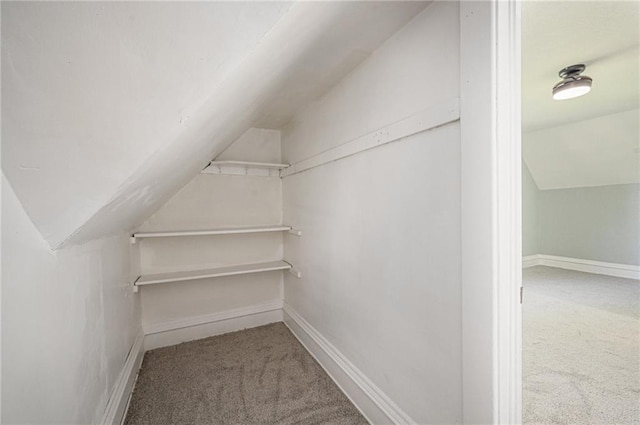 3344 Chestnut Ave, Kansas City, MO 64128 - walk in closet with carpet flooring and lofted ceiling