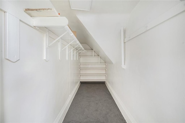 3344 Chestnut Ave, Kansas City, MO 64128 - walk in closet featuring carpet flooring