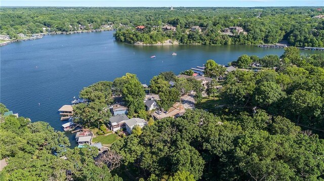 48 M St, Lake Lotawana, MO 64086 - aerial overview of property's location with a large body of water