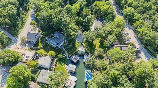 48 M St, Lake Lotawana, MO 64086 - aerial view of property's location