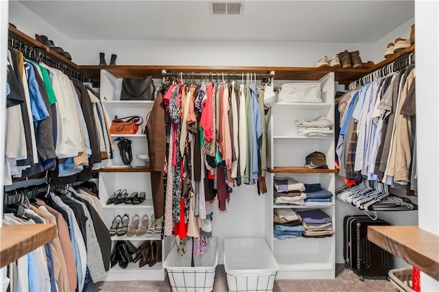 11245 S Penrose St, Olathe, KS 66061 - spacious closet with carpet floors