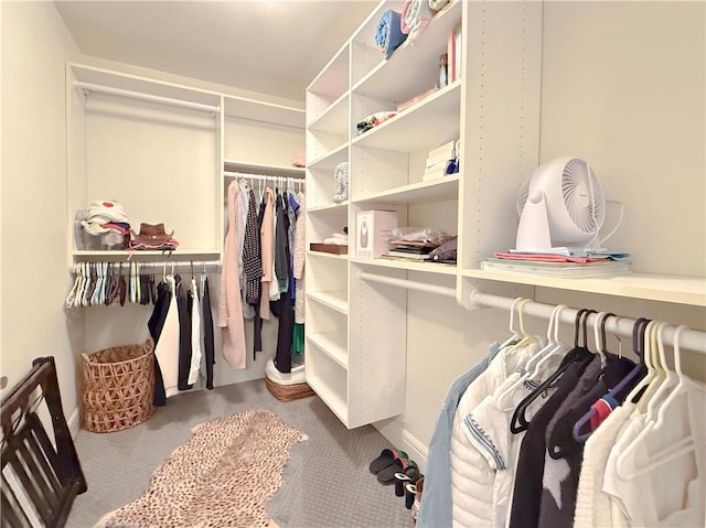 10511 Mission Rd Unit 310, Leawood, KS 66206 - photo 28