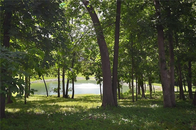208 NE Landings Cir, Lees Summit, MO 64064 - photo 37