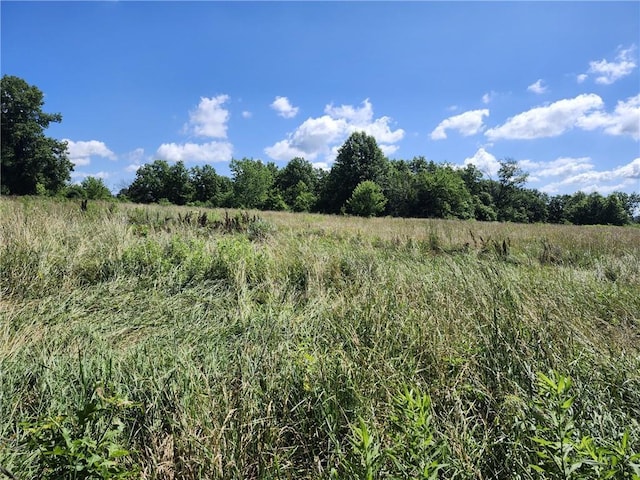 Walnut St, Newtown, MO 64667