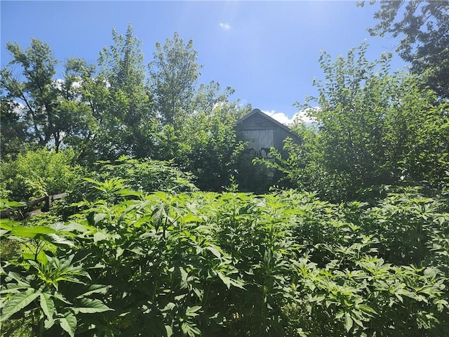 Walnut St, Newtown, MO 64667