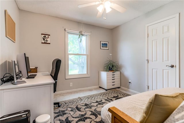 4427 NW 64th Ter, Kansas City, MO 64151 - photo 28