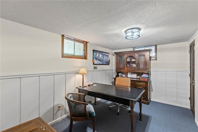 1124 S Locust St, Ottawa, KS 66067 - carpeted office space featuring wainscoting, a textured ceiling, and a decorative wall
