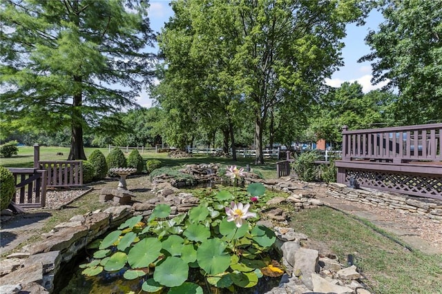 1124 S Locust St, Ottawa, KS 66067 - view of yard