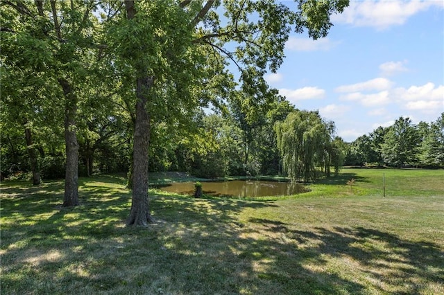 1124 S Locust St, Ottawa, KS 66067 - view of green lawn featuring a water view and a view of trees