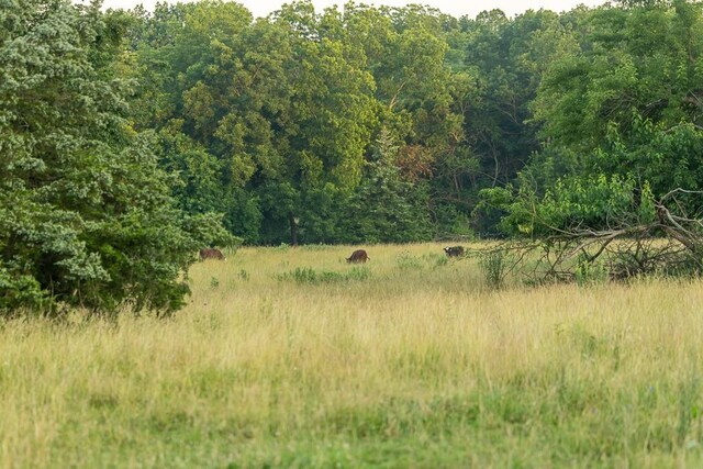 NE State Route Bb, Urich, MO 64788