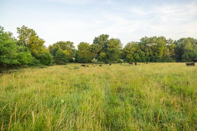 NE State Route Bb, Urich, MO 64788