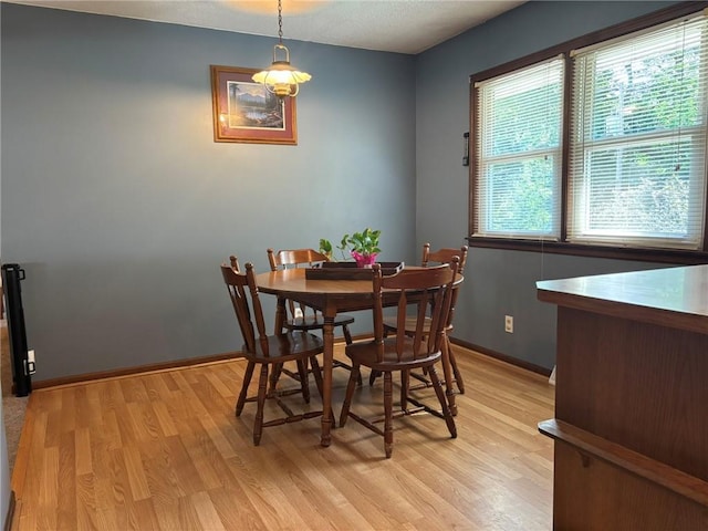 2425 Elephant Trl, Saint Joseph, MO 64506 - dining room featuring light wood-style flooring