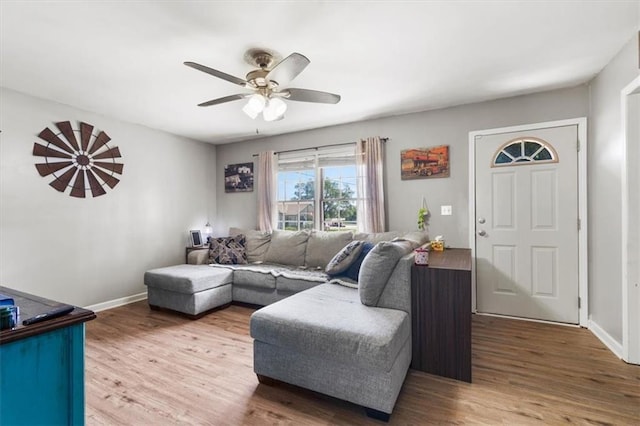 800 S Park Ave, Oak Grove, MO 64075 - living room with wood finished floors and a ceiling fan