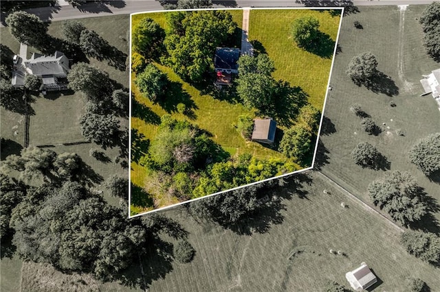 28804 E 116th St, Lees Summit, MO 64086 - view of property location featuring property parcel outlined