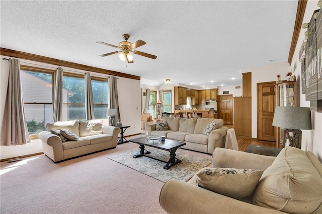 2431 S Ponca Ave, Independence, MO 64057 - living room with ceiling fan, a textured ceiling, ornamental molding, and light carpet