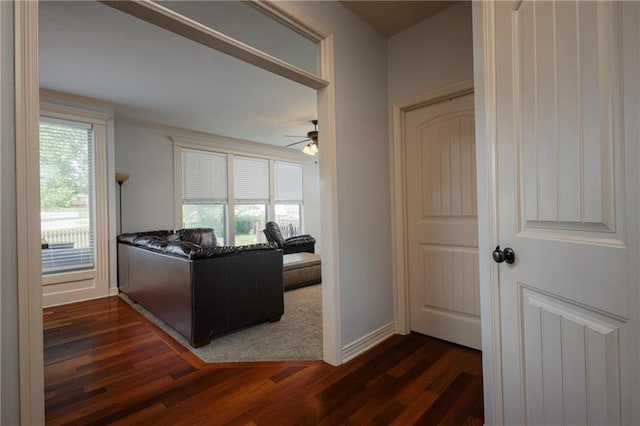 3132 SW Damon Ln, Lees Summit, MO 64082 - corridor with dark wood finished floors and baseboards