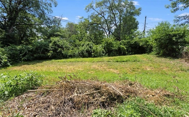 2712 S 52nd St, Kansas City, KS 66106 - view of nature