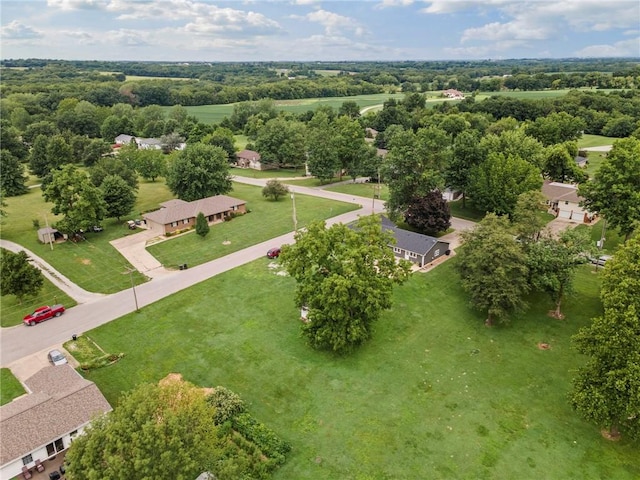 607 W 13th St, Carrollton, MO 64633 - photo 39