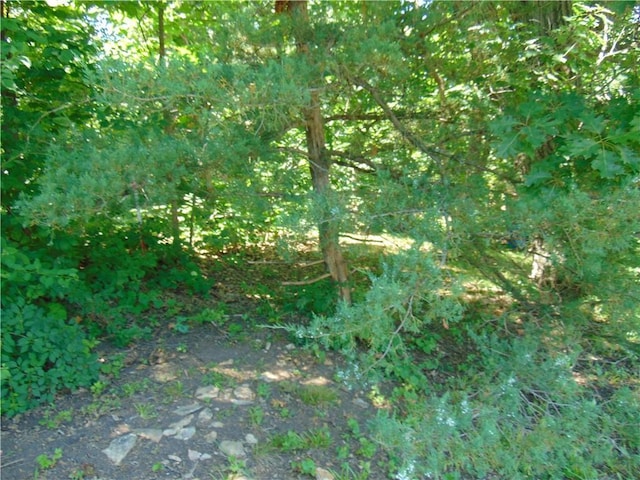 25624 Briers Dr, Freeman, MO 64746 - photo 25
