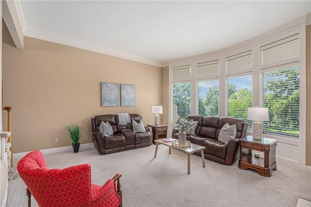 14622 S Garnett St, Olathe, KS 66062 - carpeted living area with baseboards and ornamental molding
