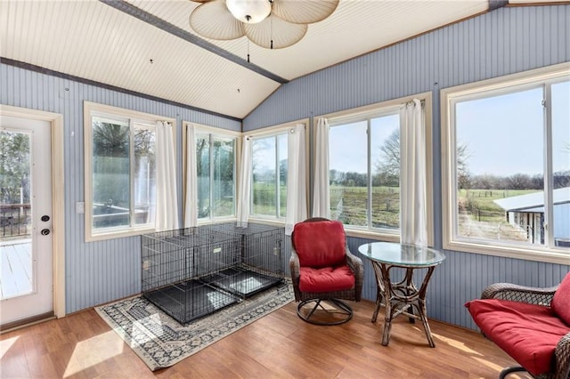 17259 174th St, Basehor, KS 66007 - photo 21