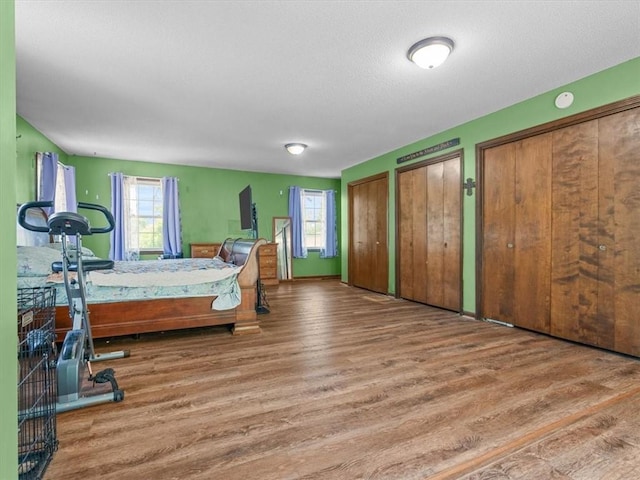 1490 216th St, Lathrop, MO 64465 - bedroom featuring wood finished floors, multiple closets, multiple windows, and a textured ceiling