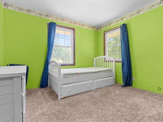1490 216th St, Lathrop, MO 64465 - carpeted bedroom with multiple windows and a textured ceiling