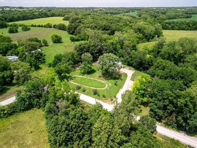 1490 216th St, Lathrop, MO 64465 - bird's eye view of a forest