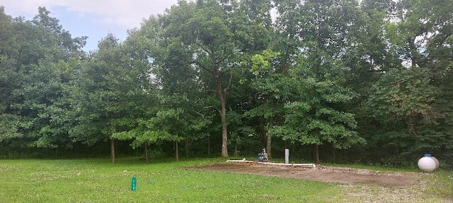 110 Holiday Dr, Linn Valley, KS 66040