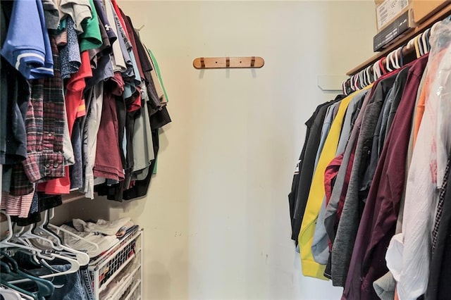 503 SE Brownfield Dr, Lees Summit, MO 64063 - view of spacious closet