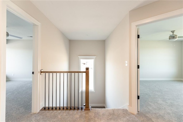 3361 W 187th St, Overland Park, KS 66085 - hall with carpet flooring and an upstairs landing