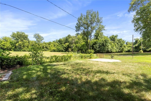 1313 S Clark Ave, Independence, MO 64057 - view of green lawn