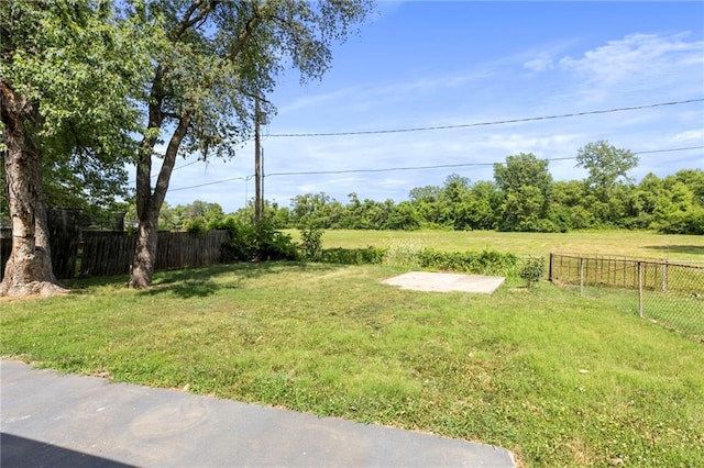 1313 S Clark Ave, Independence, MO 64057 - view of yard